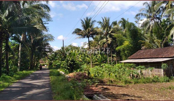 Jual Tanah Kavling Murah Di Borobudur Magelang 1