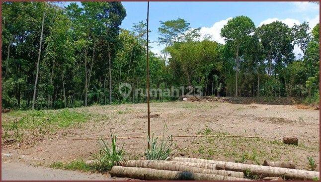 Jual Tanah Kavling Murah Di Ngemplak Seneng Klaten 1