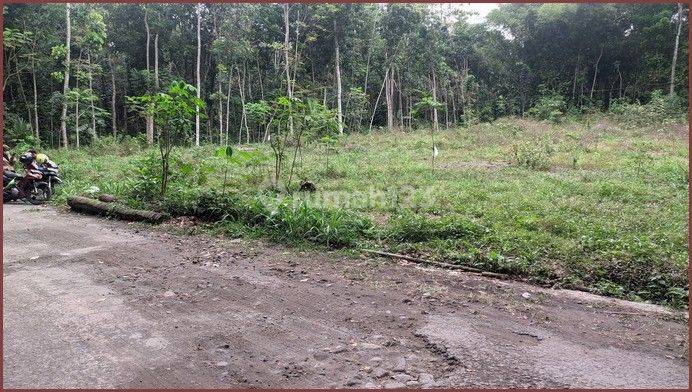 Jual Tanah Kavling Murah Di Ngemplak Seneng Klaten 5