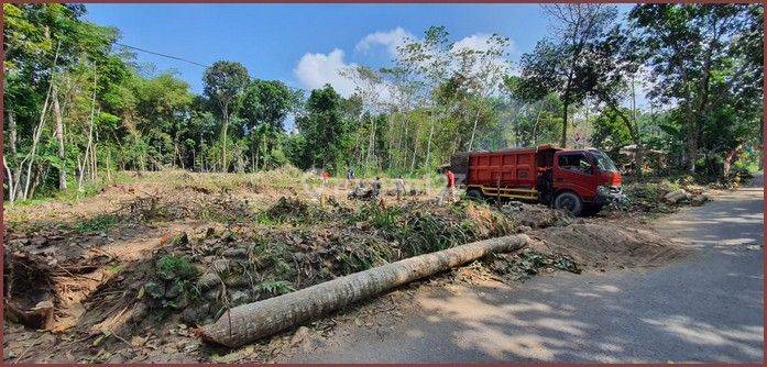 Tanah Murah Di Utara Candi Prambanan Sleman 50 Jutaan 2