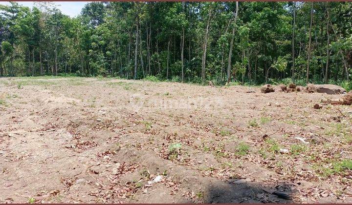 Tanah Murah Di Utara Candi Prambanan Sleman 50 Jutaan 4