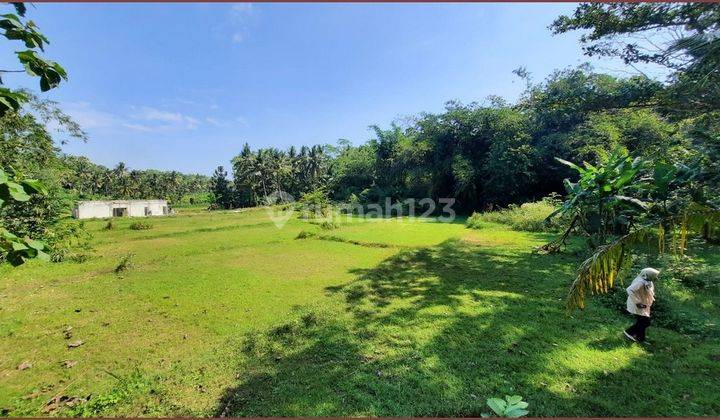 Tanah Dijual Murah Di Nanggulan 80 Jutaan 4