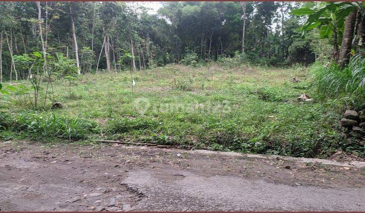 Tanah SHM 50 Jutaan Di Utara Candi Prambanan Klaten 2
