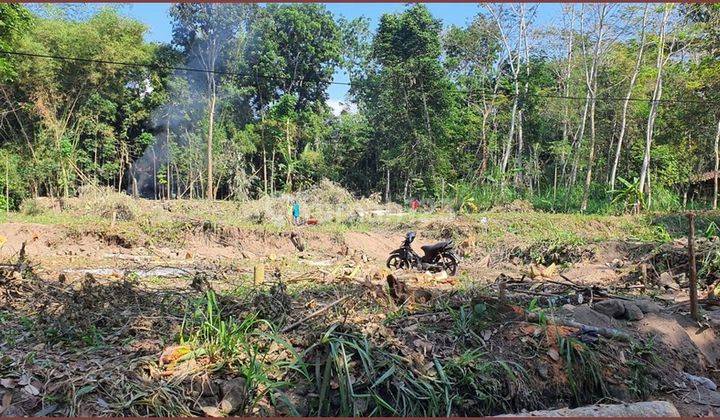 Tanah SHM 50 Jutaan Di Utara Candi Prambanan Klaten 5
