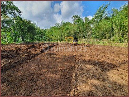 Tanah Murah Di Tempuran Magelang, Luas 113m2 SHM 1