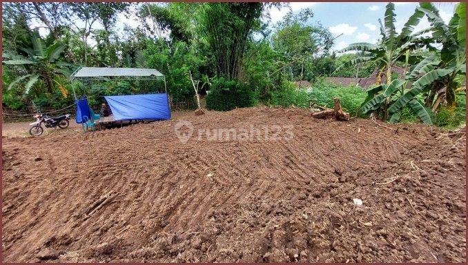 Tanah Murah Di Tempuran Magelang, Luas 113m2 SHM 2