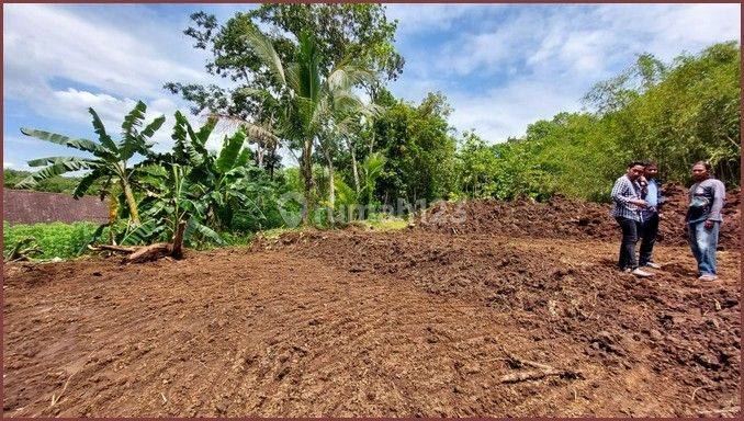 Tanah Murah Di Tempuran Magelang, Luas 113m2 SHM 3