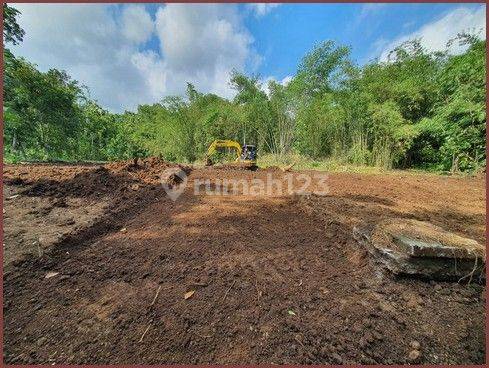 Tanah Murah Di Tempuran Magelang, Luas 113m2 SHM 5