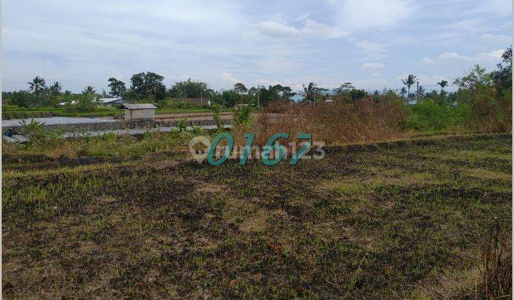 Kavling Hunian Mangku Jalan Aspal Magelang Boyolali 3