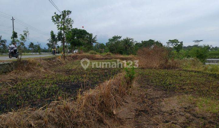 Tanah Dijual Magelang Tepi Jalan Raya 5 Menit Puskesmas Mungkid 5