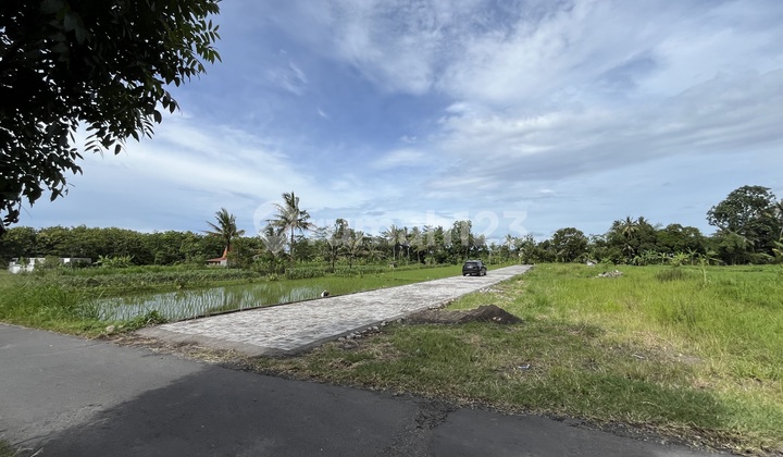 Land for Sale in Sleman Area near UII Campus, Only 3 Million/M