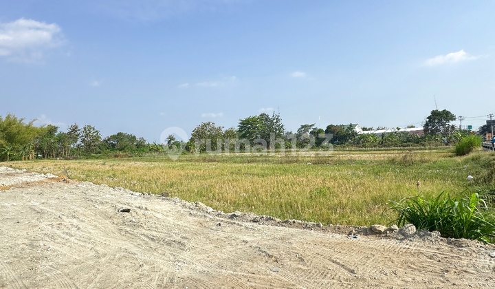 Tanah Siap AJB di Jl. Sidokarto Dekat Kampus Umy, SHM Lengkap Tanah Siap AJB di Jl. Sidokarto Dekat Kampus Umy, SHM Lengkap