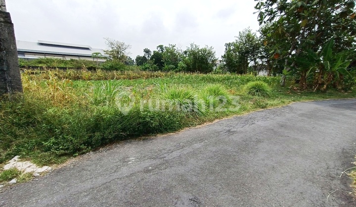 Tanah Siap Bangun di Palagan Sleman Hanya 3jutaan Dekat Hotel  Hyaat 