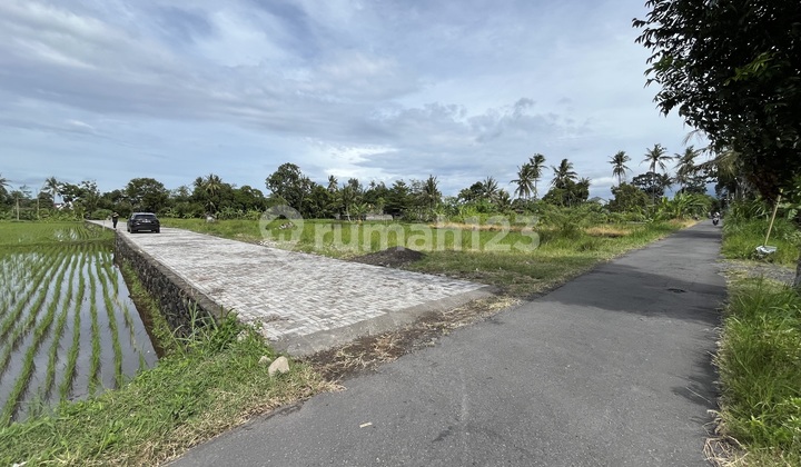 Tanah Murah di Sleman, Legalitas SHM Aman View Sawah