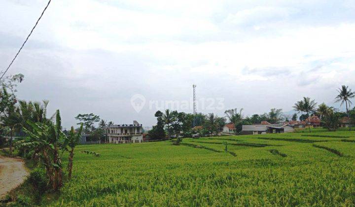  Tanah Bandung 500 Ribuan Permeter Luas 1800 Meter Ciparay 4