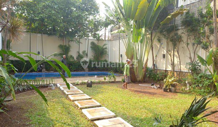 Disewakan Cepat Rumah Baru Renovasi Total Bisa Furnish Atau Semi Furnish Harga Nego Area Kemang Dalam Kemang Jakarta Selatan