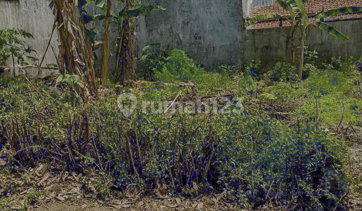 Tanah Belakang Akpol di Taman Semeru Semarang 2