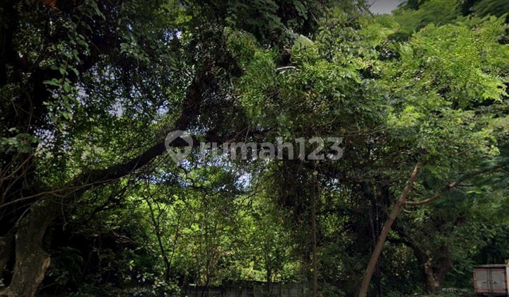 1 Hectare of Land in Kic Gatsu Semarang 1