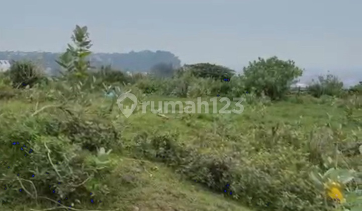 Wide Land, Gatsu Kic, Semarang 1