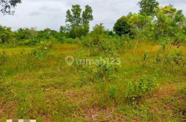 Tanah Murah Banget Pinggir Jalan Raya Karangjati Ungaran Semarang 1