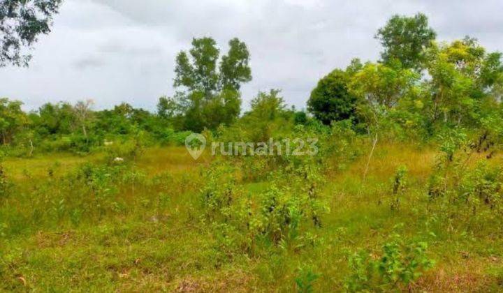 Tanah lokasi pinggir jalan Karangjati Semarang 1