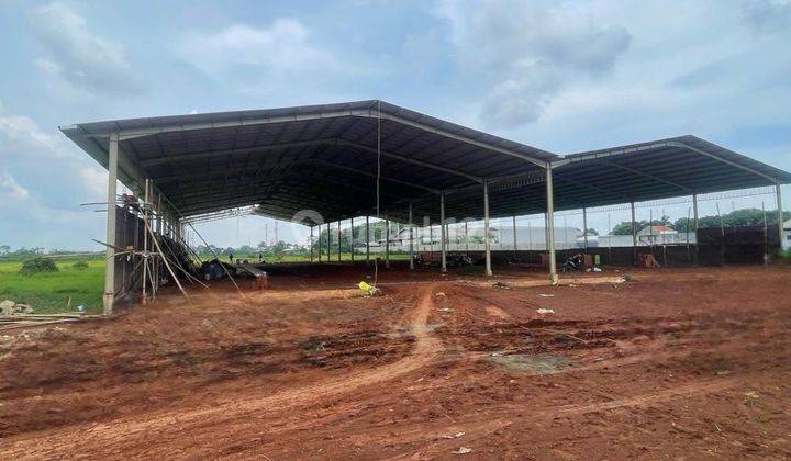 Gudang On Progress Ready Juni Di Batang Jawa Tengah 1