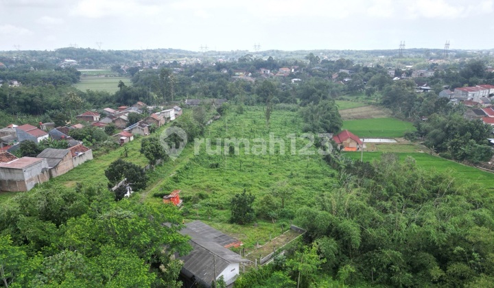 Tanah Kebun Di Mijen Semarang 1