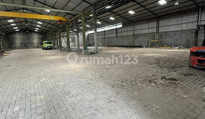 Hot Sale! Gudang Kic Gatsu Semarang 2