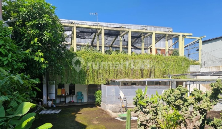 Rumah Besar Di Mlaten Trenggulun Semarang 1