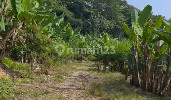 Tanah Lokasi Deket Unnes Gunung Pati Semarang 1
