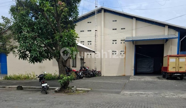 Gudang di Majapahit Semarang 1