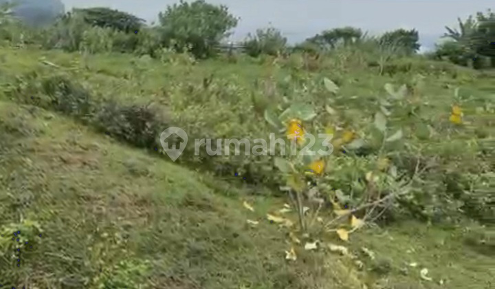 Wide Land, Gatsu Kic, Semarang 2