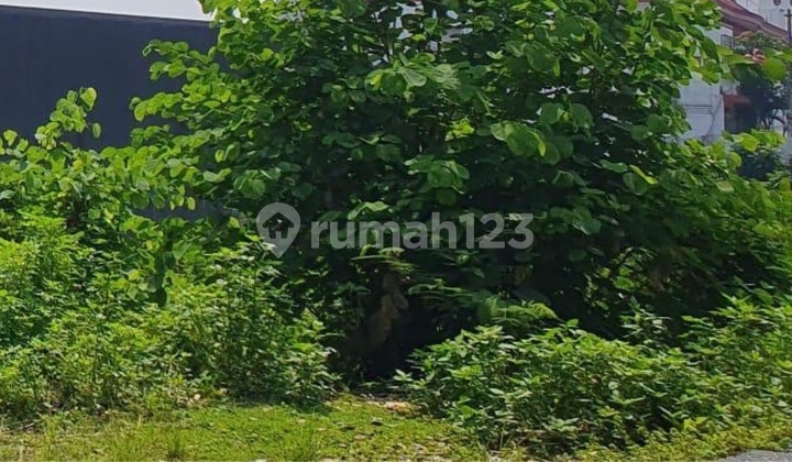 Tanah Di Rinjani Gajahmungkur Semarang 1