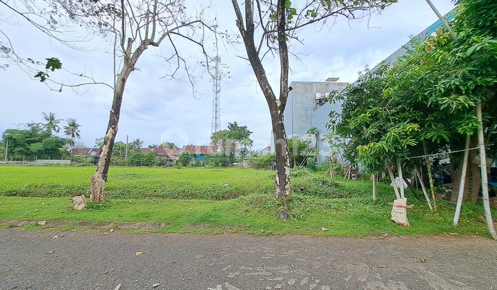 Tanah Kavling Siap bangun Area Tanjung Bunga Tanah Kavling Siap bangun Area Tanjung Bunga