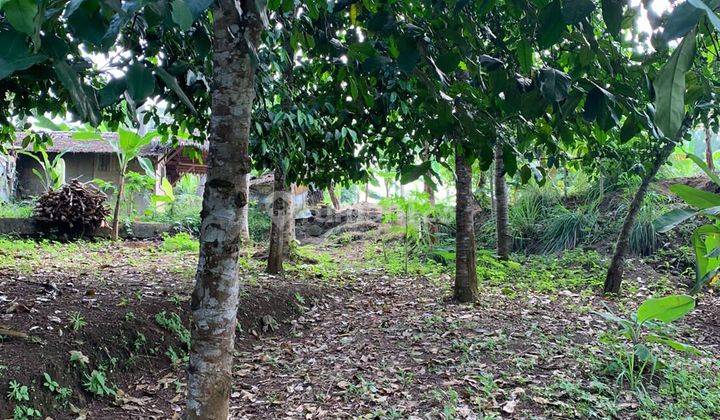 Dijual Tanah Daerah Anyer 7