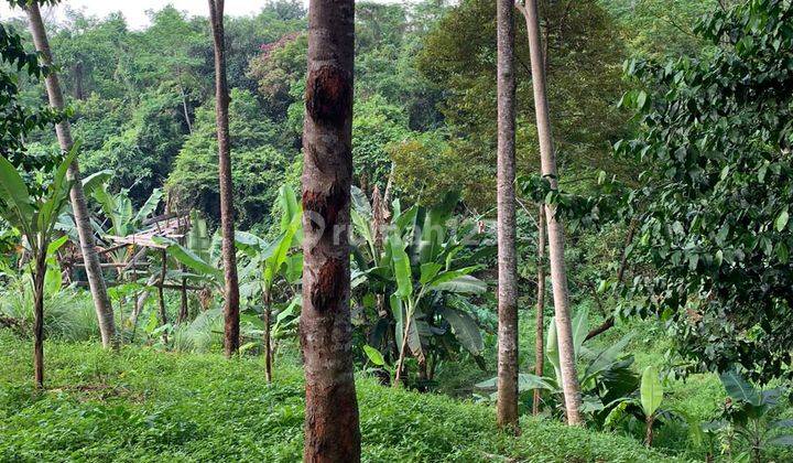 Dijual Tanah Daerah Anyer 8