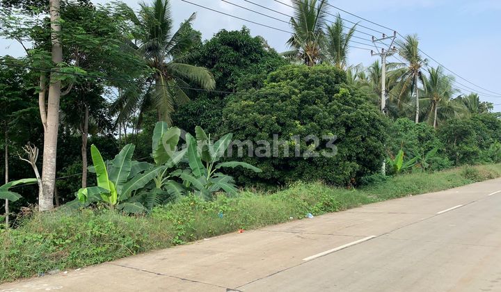 Dijual Tanah Daerah Anyer 10