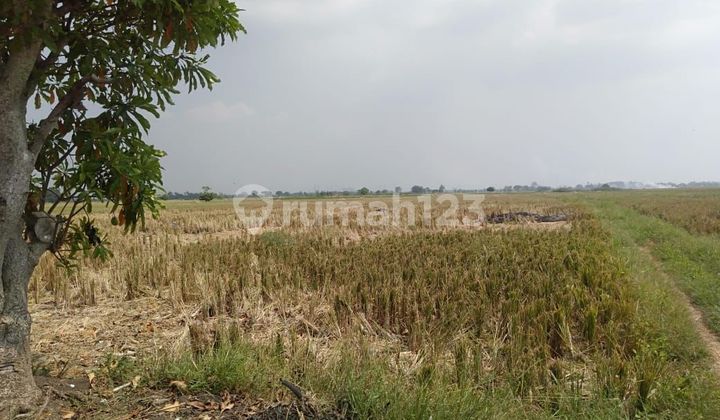 Dijual Lahan di Tambelang, Bekasi 1