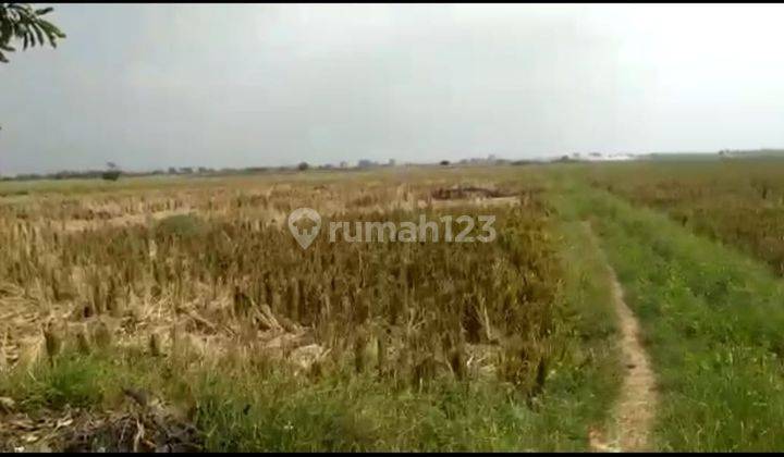 Dijual Lahan di Tambelang, Bekasi 4