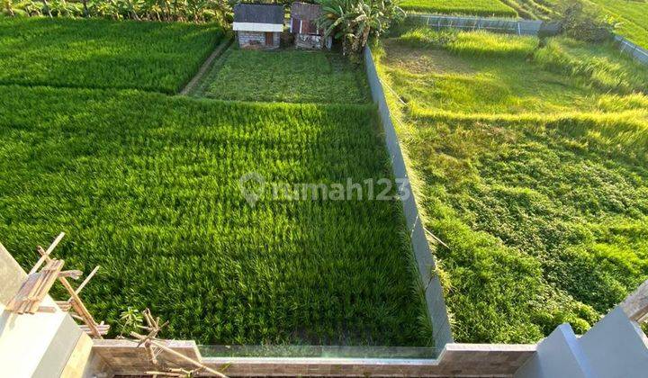 Dijual Villa Baru Tabanan Bali 4