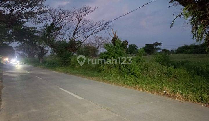 Di jual tanah di cirebon luas 4,9ha, pinggir jalan 1