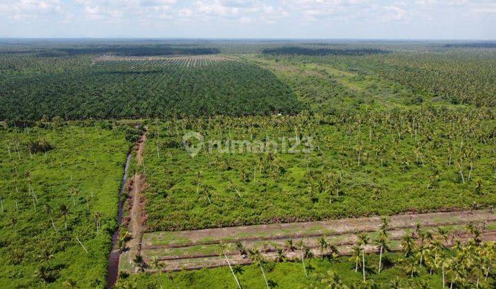 Dijual cepat BU tanah di Mempawah, kalimantan barat, luas 30HA 1