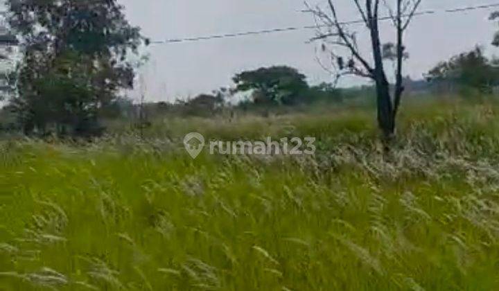 Dijual Cepat Tanah Padat Luas 20ha Di Kronjo Tangerang Banten 2