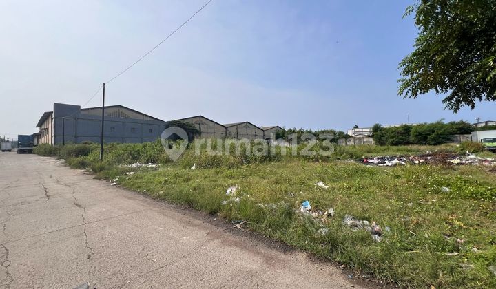 Dijual Tanah Padat Siap Bangun Gudang Di Pantai Indah Dadap Dijual Tanah Padat Siap Bangun Gudang Di Pantai Indah Dadap