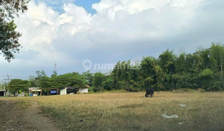 Di Jual Tanah Padat 4.2ha Di Karawang Timur 2