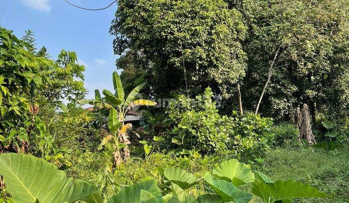 Tanah Cocok Untuk Investasi Lokasi Pinggir Jalan Raya Salatiga 2