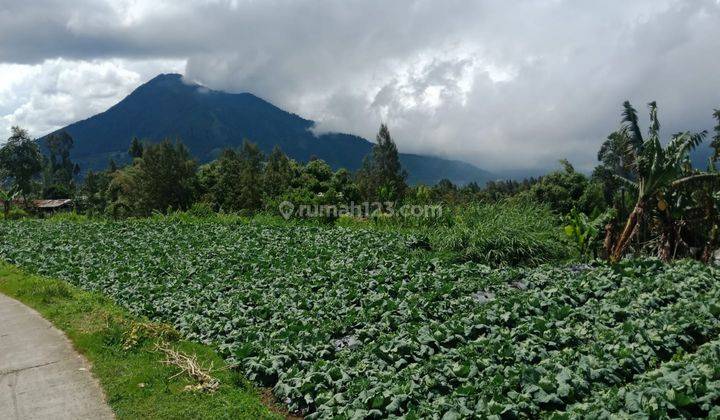 Tanah View Gunung Udara Sangat Sejuk Dan Dingin Cocok Untuk Vila Maupun Resto Di Kopeng 2