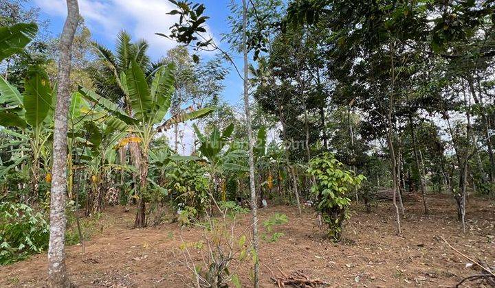 Tanah Bentuk Kotak Rata Siap Bangun Di Tingkir Salatiga 1