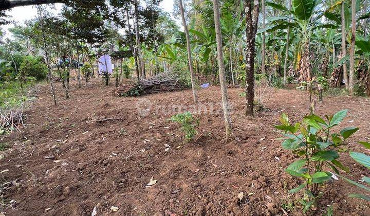 Tanah Bentuk Kotak Rata Siap Bangun Di Tingkir Salatiga 2