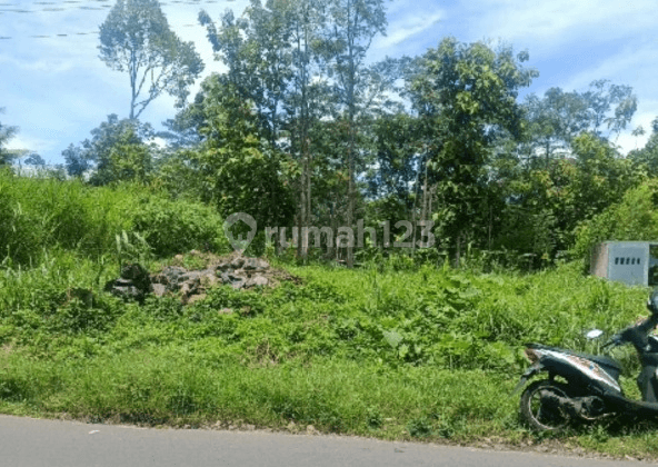 Tanah Pekarangan Siap Bangun Lokasi Strategis Di Argomulyo Salatiga 1